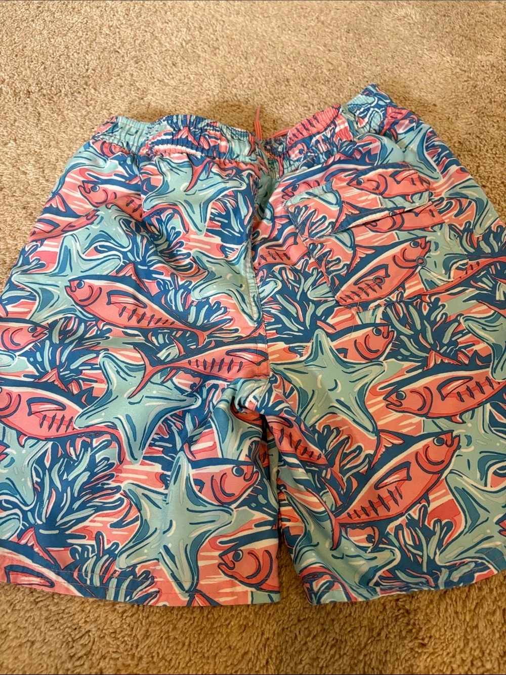 Vineyard Vines Coral Fish & Sea Star Print Swim Shorts - Aqua & Pink